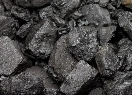 تصویر 2 از ذغال کبابی بسته بندی تهیه شده از چوب طبیعی و مرغوب